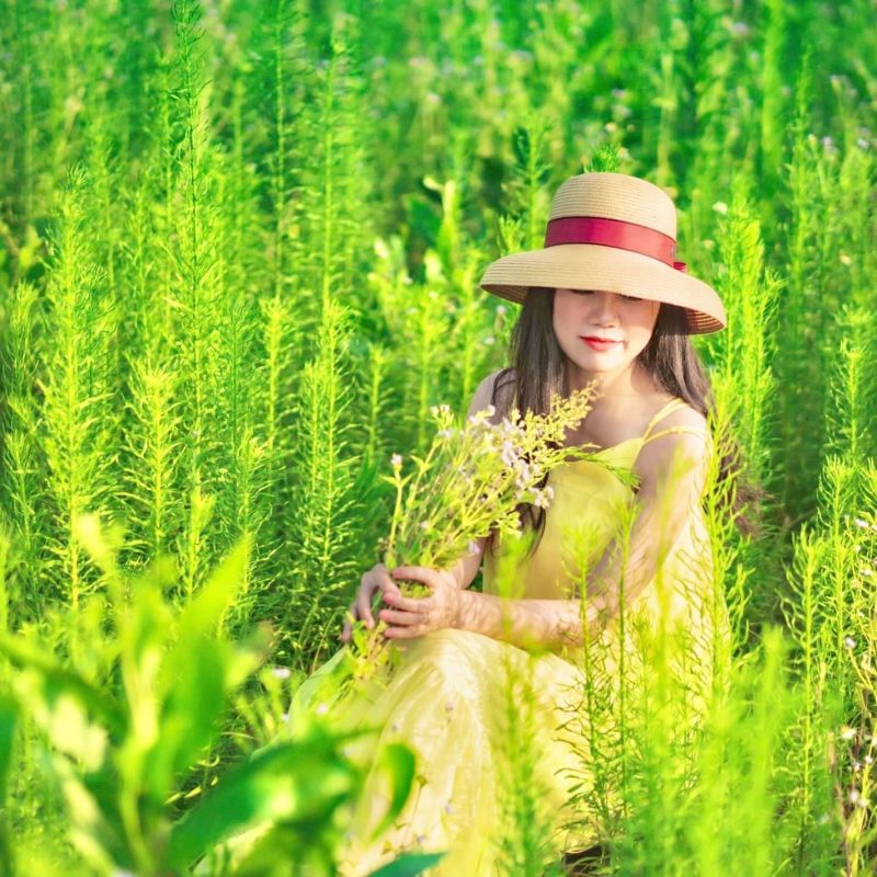 Buông Bỏ Để Sống Thảnh Thơi